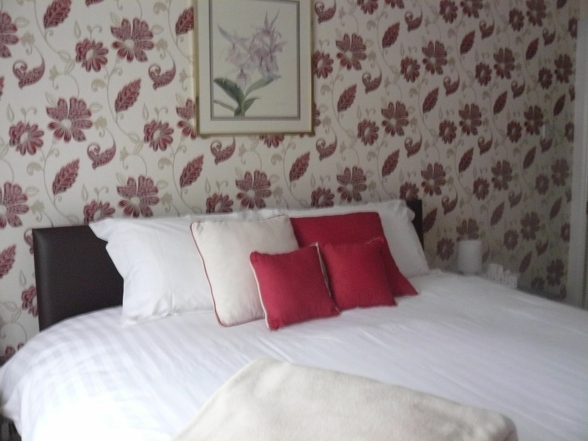 Forest View B&B Ландфорд Экстерьер фото